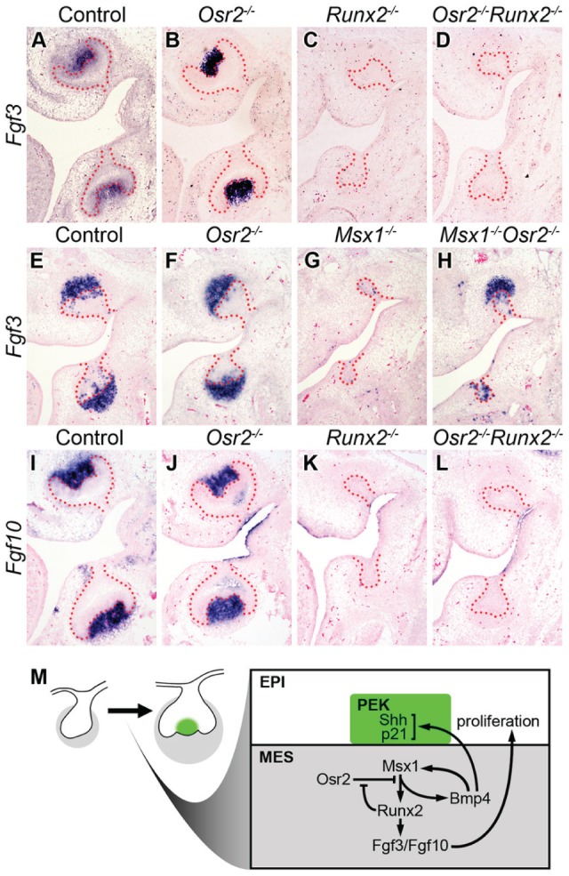 Figure 5.