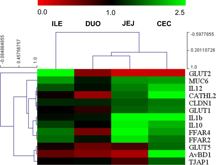 Fig 2