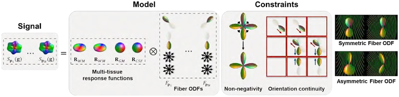 Figure 2: