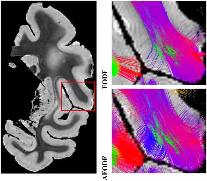 Figure 5: