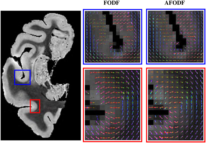 Figure 4: