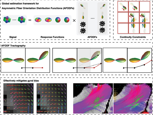 graphic file with name nihms-1544393-f0001.jpg