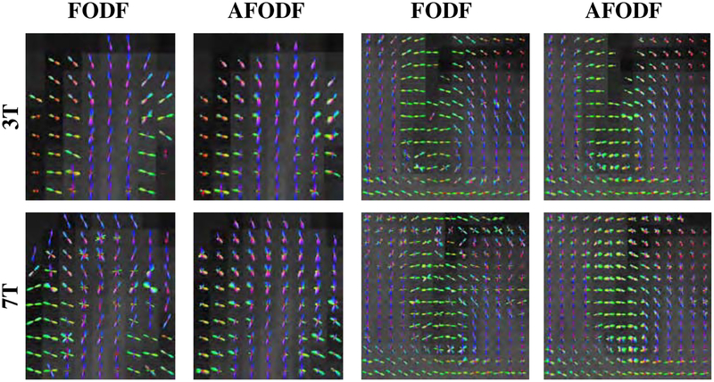 Figure 9: