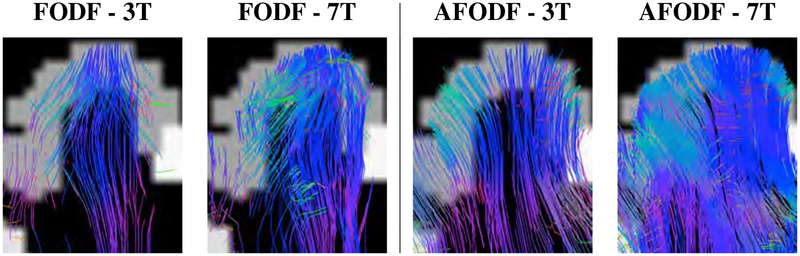 Figure 12: