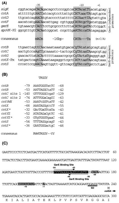 FIG. 8