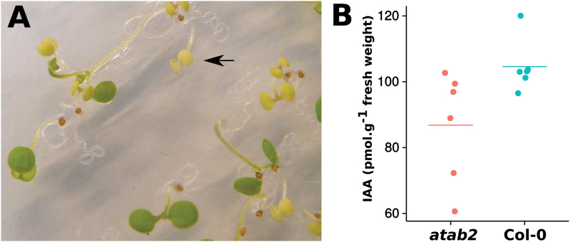 Fig. 3.