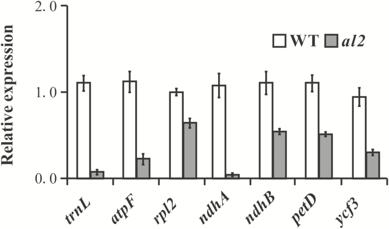 Fig. 6.