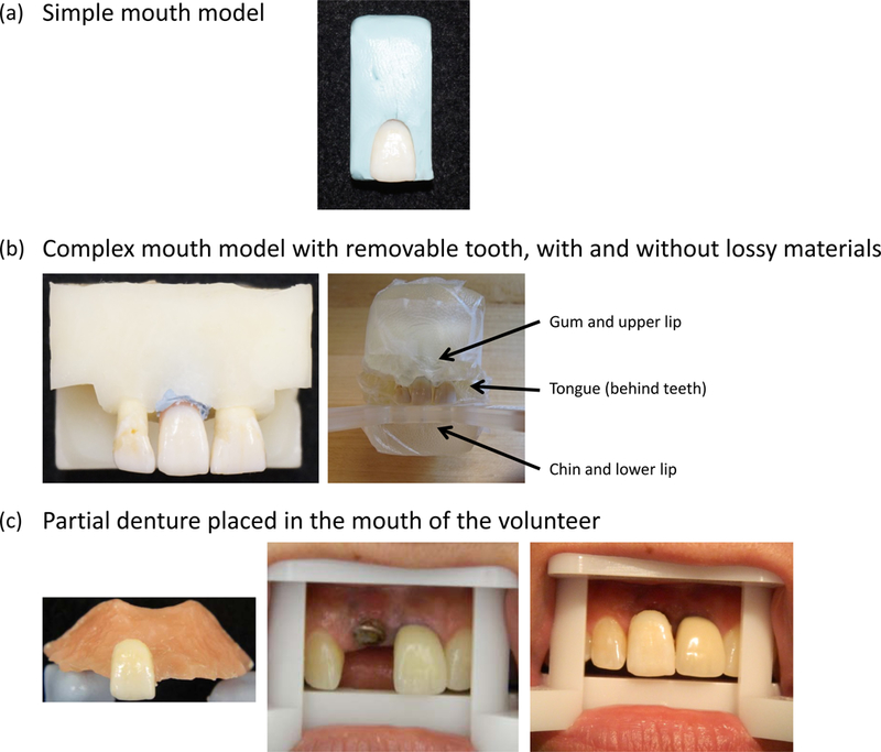 Figure 1.
