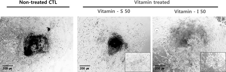 Fig. 6