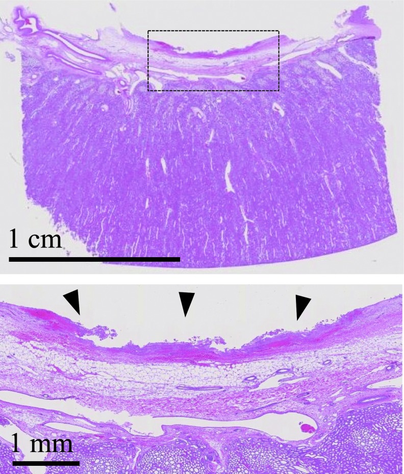 FIG. 4.