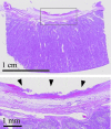 <b>FIG. 4.</b>