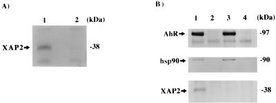 FIG. 7