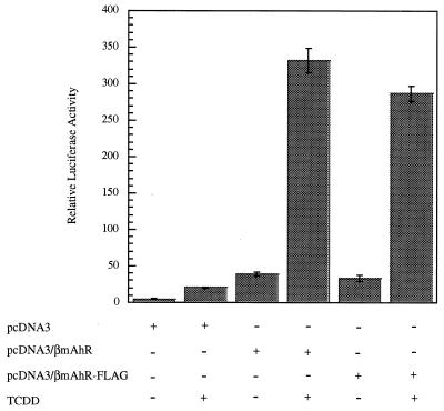 FIG. 1