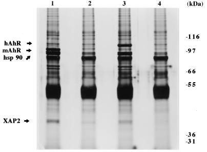 FIG. 10