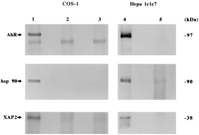 FIG. 6