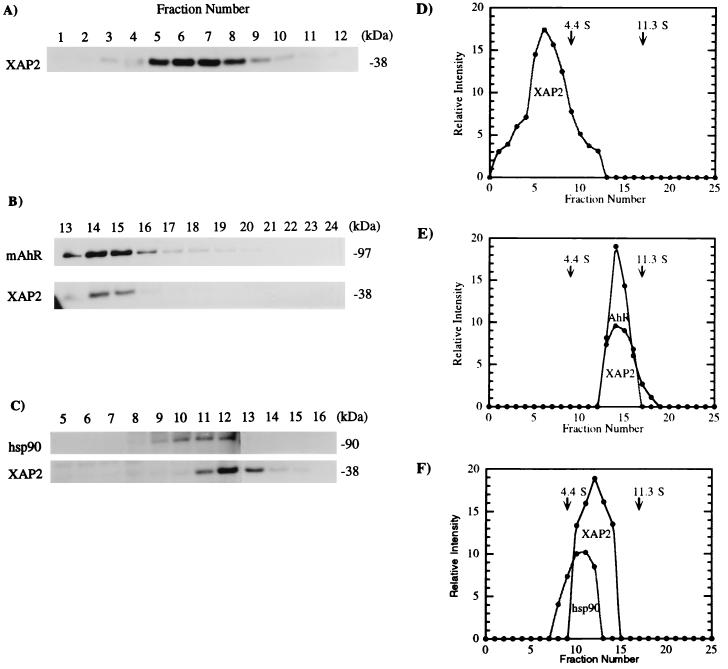 FIG. 8