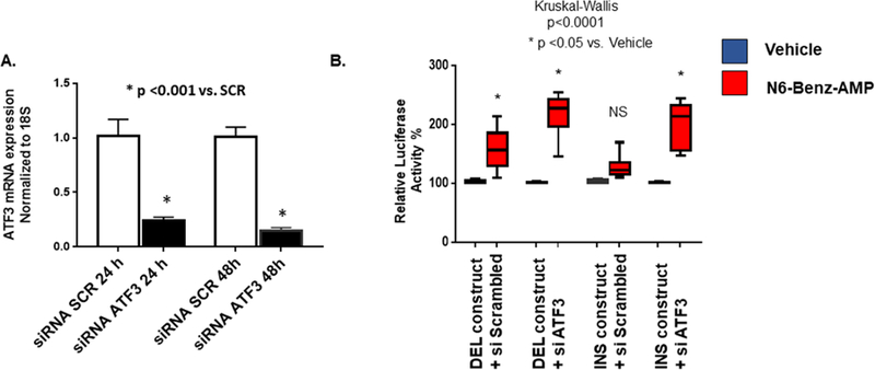 Figure 4: