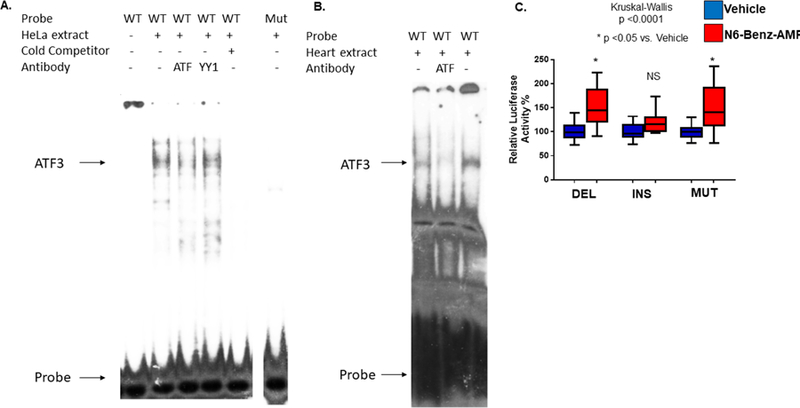 Figure 3: