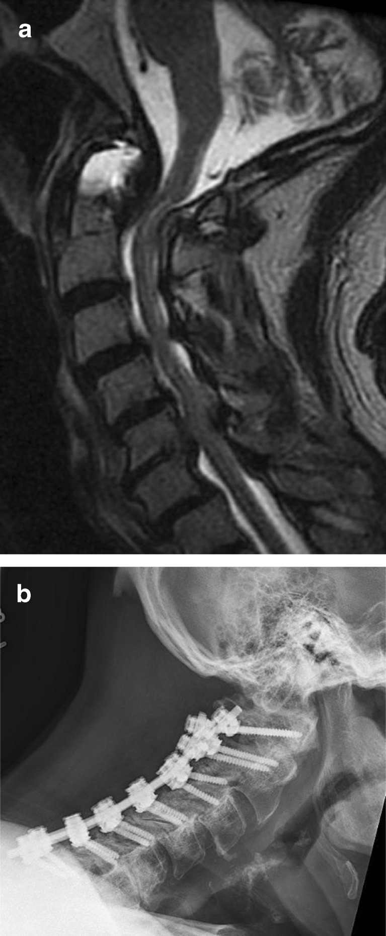 Fig. 6