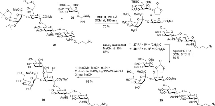 Scheme 5