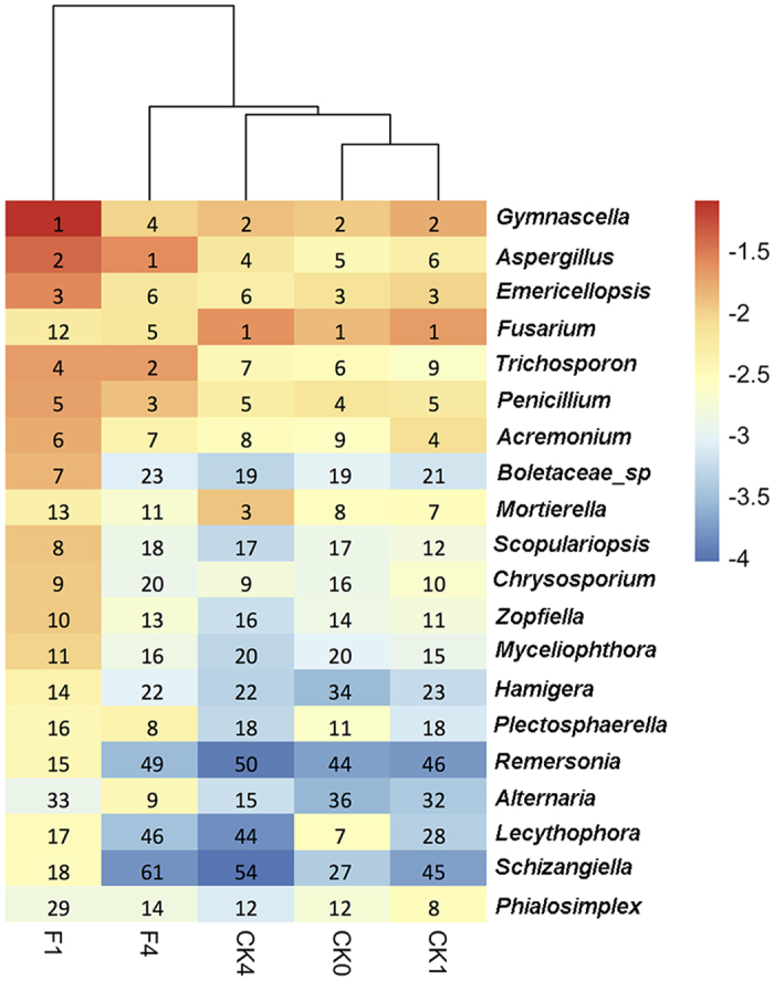 Figure 5