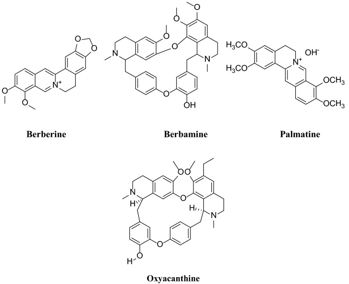 Fig. 1