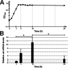 FIG 6