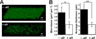 FIG 3