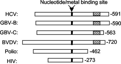 FIG. 10.