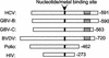 FIG. 10.