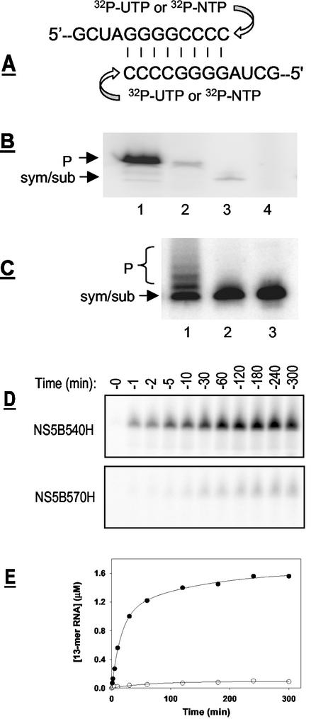 FIG. 7.