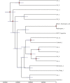FIG 3