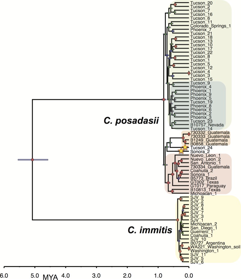 FIG 1 