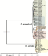 FIG 1