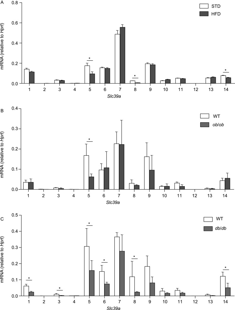 Figure 1