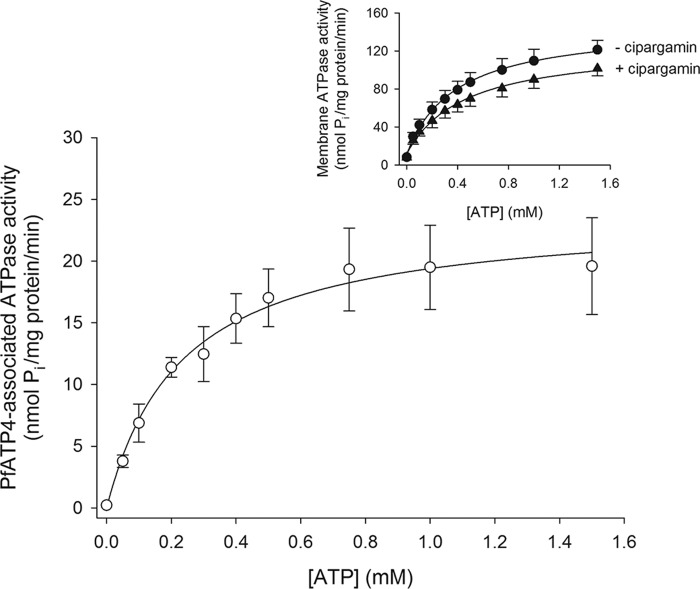 Figure 3.