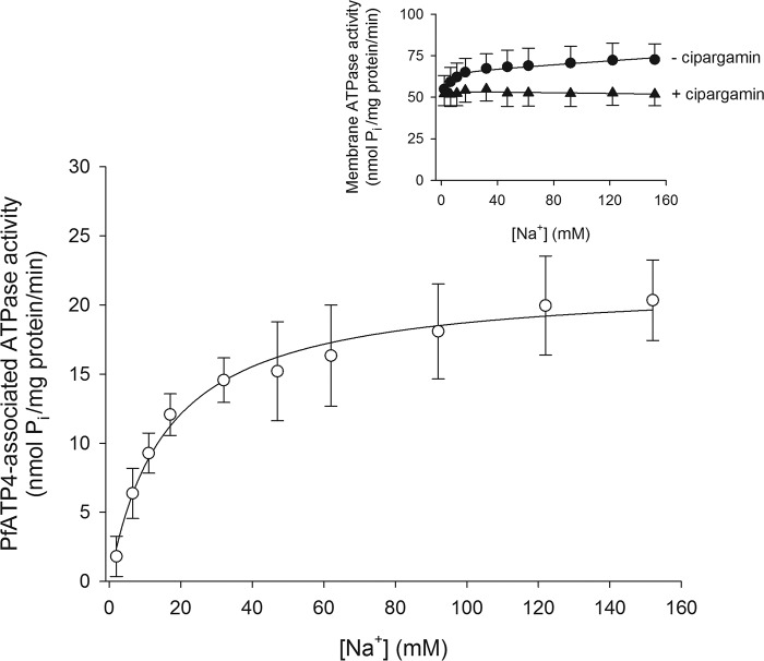 Figure 4.