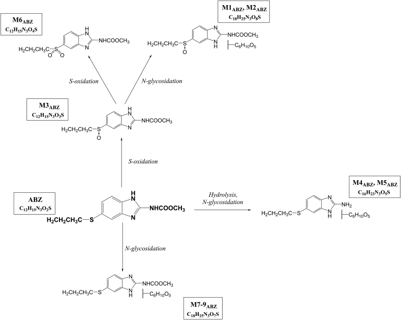 Fig. 3