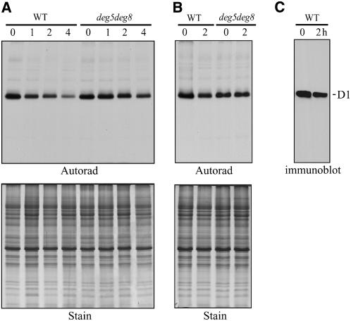 Figure 11.