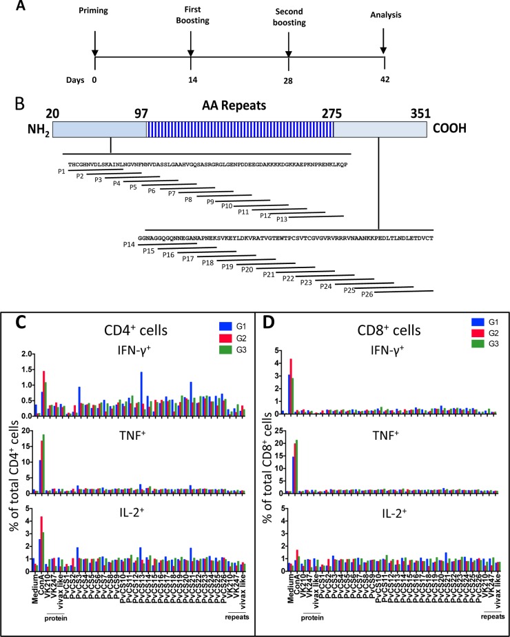 FIG 10