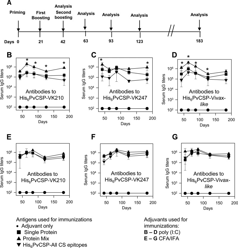 FIG 3