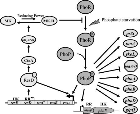 FIG. 7.