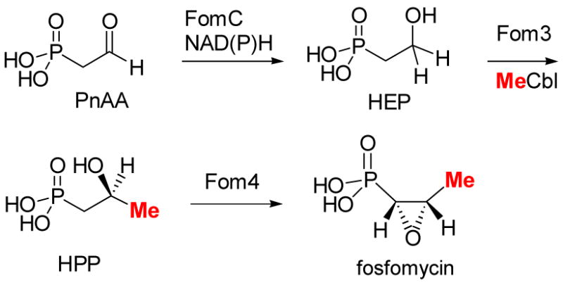 Scheme 12