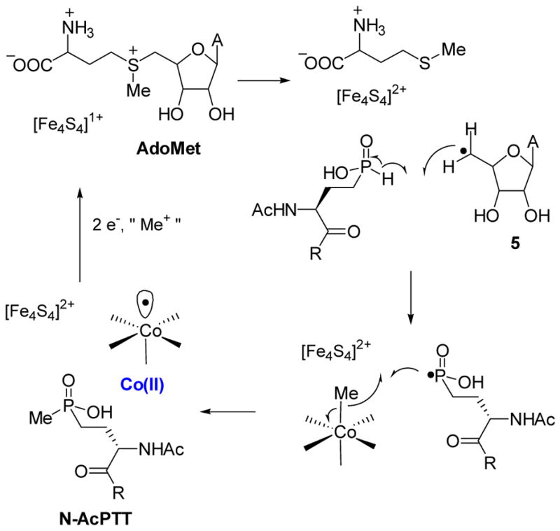 Scheme 11