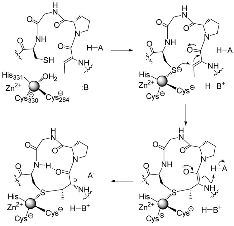 Scheme 7