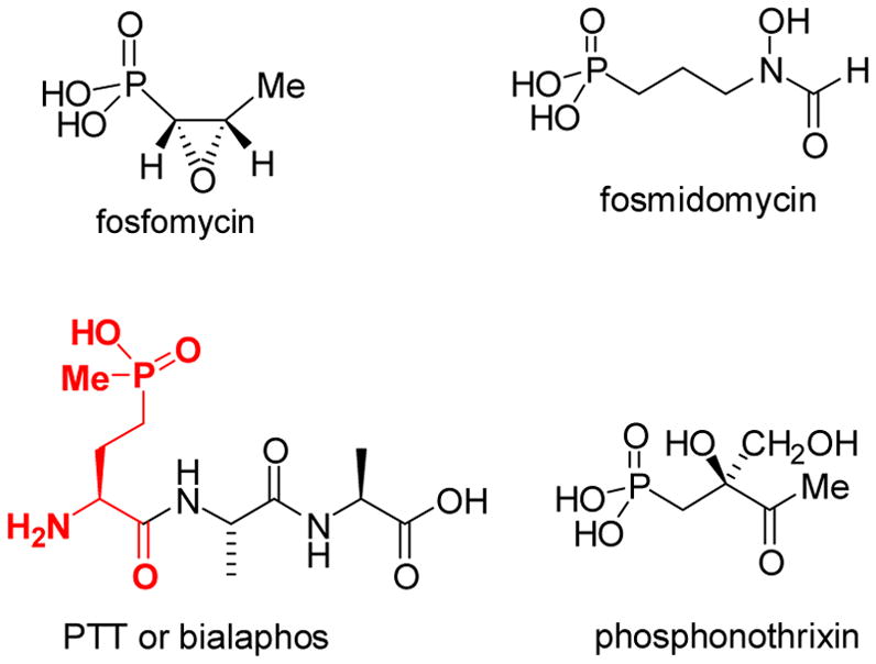 Scheme 8