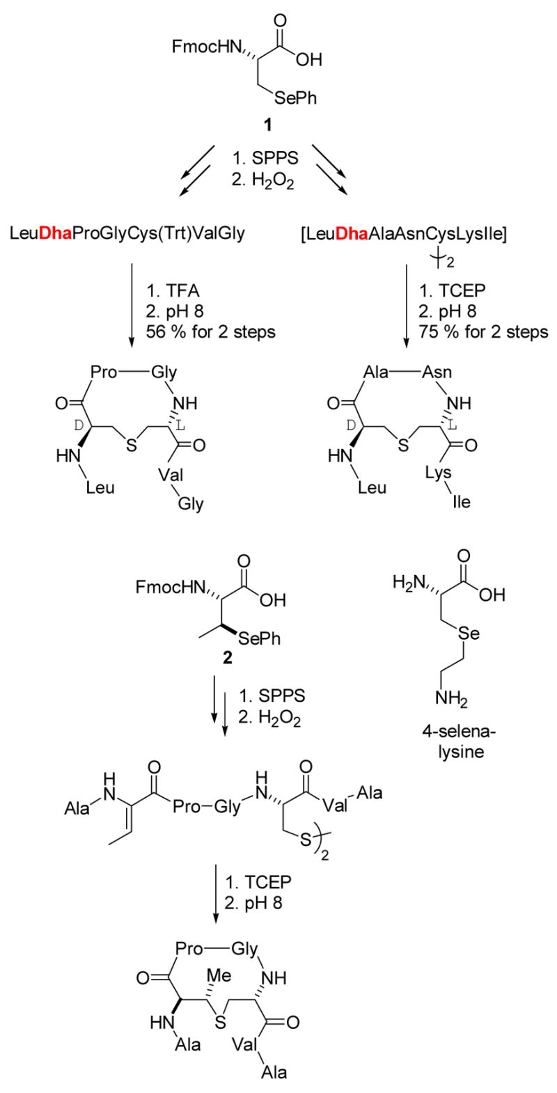 Scheme 1