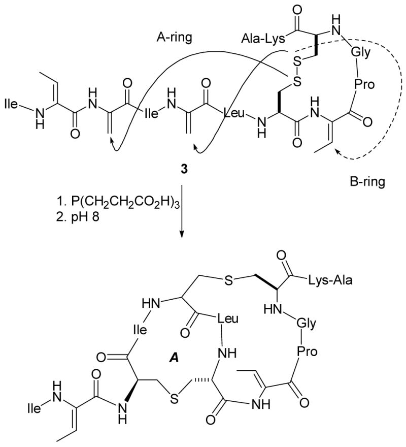 Scheme 2