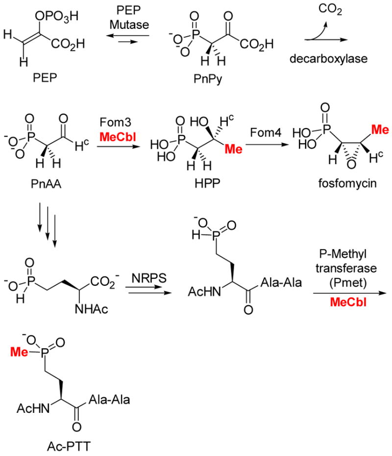 Scheme 9