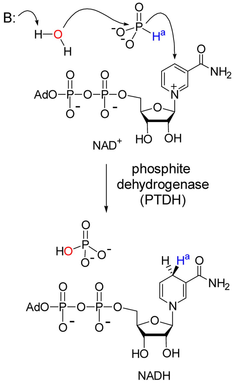 Scheme 5